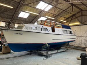 Broom Skipper 1