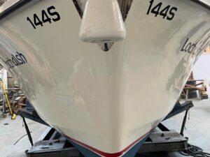 Broom Skipper 2