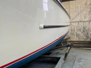 Broom Skipper 3